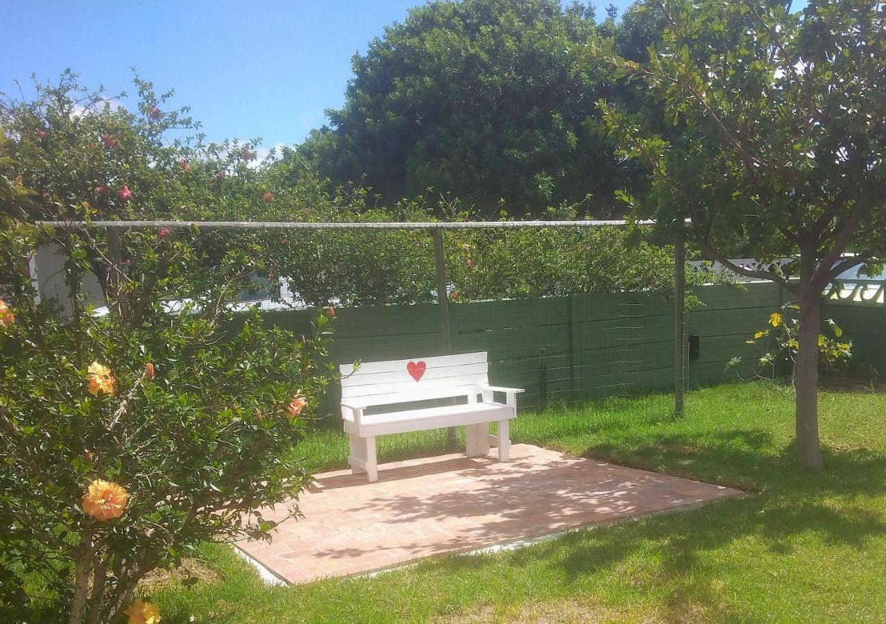 Fisherhaven Guest House Hermanus Dış mekan fotoğraf
